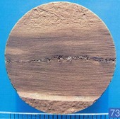 Образец керна 1