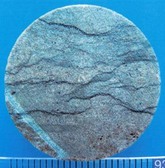 Образец керна 4