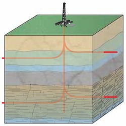 Многозабойная скважина