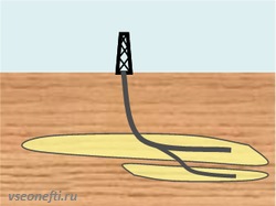 Многозабойная скважина
