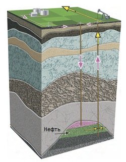 Разработка нефтяного месторождения
